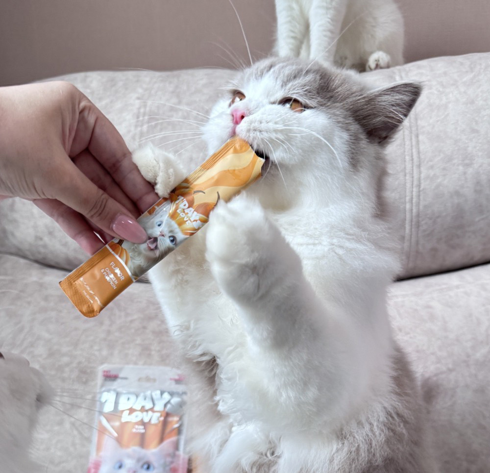 639140236 122117255241161313