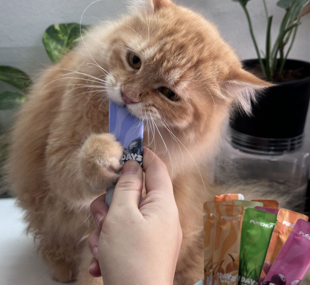 667957157 12212431259116131